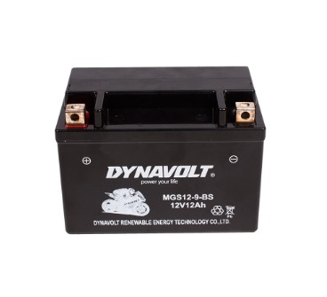 Аккумулятор CHAMPION GG 7501E/7501E-3/ 7501ES/GW200AE 12V, 12Ah
